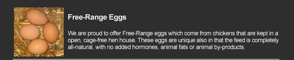 Free Roaming Eggs