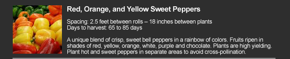 Red, Orange, and Yellow Sweet Pepper
